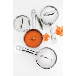 PANELA COCOTTE PROFESSIONAL EM ACO INOX COM FUNDO TRIPLO E TAMPA PLANA 14 CM 1.1 L TRAMONTINA