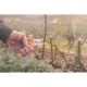 TESOURA DE PODA METALICA COM CABO PLASTICO TRAMONTINA