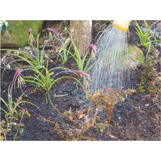 REGADOR PLASTICO PARA JARDIM 7 LITROS AZUL TRAMONTINA