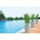 VASO PLASTICO THAI 58 CM BEGE